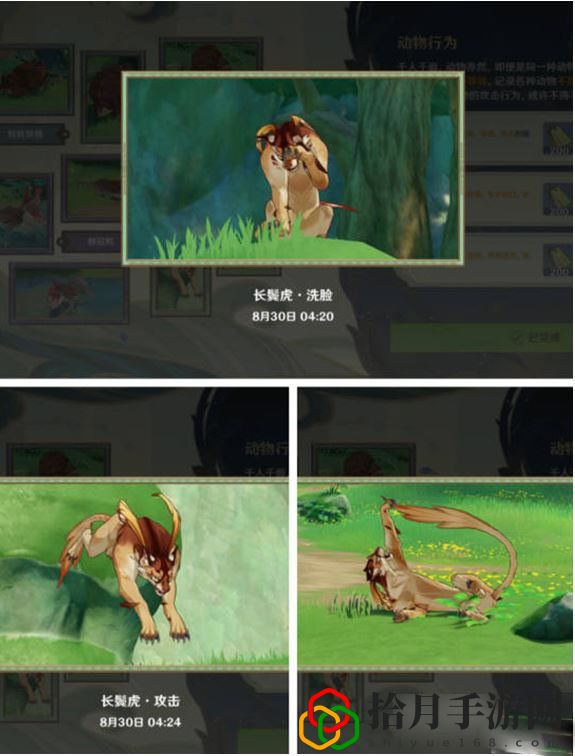 动物行为攻略 如何找到可靠的队友