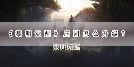 庄园怎么升级？ 高效刷副本技巧详解