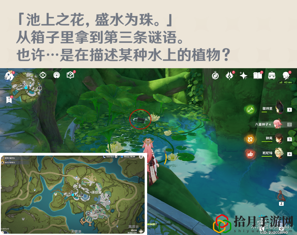 须弥声望任务智中之宝攻略 高效完成副本建议