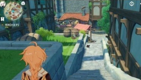 原神手游小王子黑猫位置在哪里？