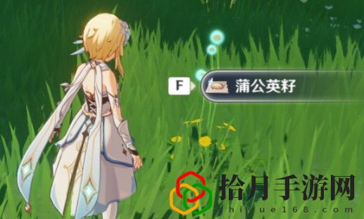 原神风魔龙新手的玩法是什么？风魔龙新手攻略介绍