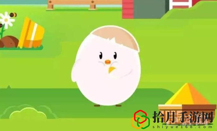 小鸡宝宝考考你，为什么有的针要打在屁股上，有的却打在胳膊上