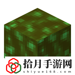 我的世界有无限岩浆吗(我的世界岩浆用法攻略)