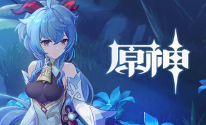 原神白驹过隙怎么玩