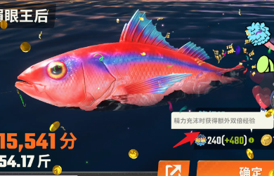 快速提升等级攻略 攻略明确搭配
